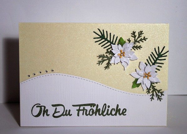 Weiße Weihnachtssterne
