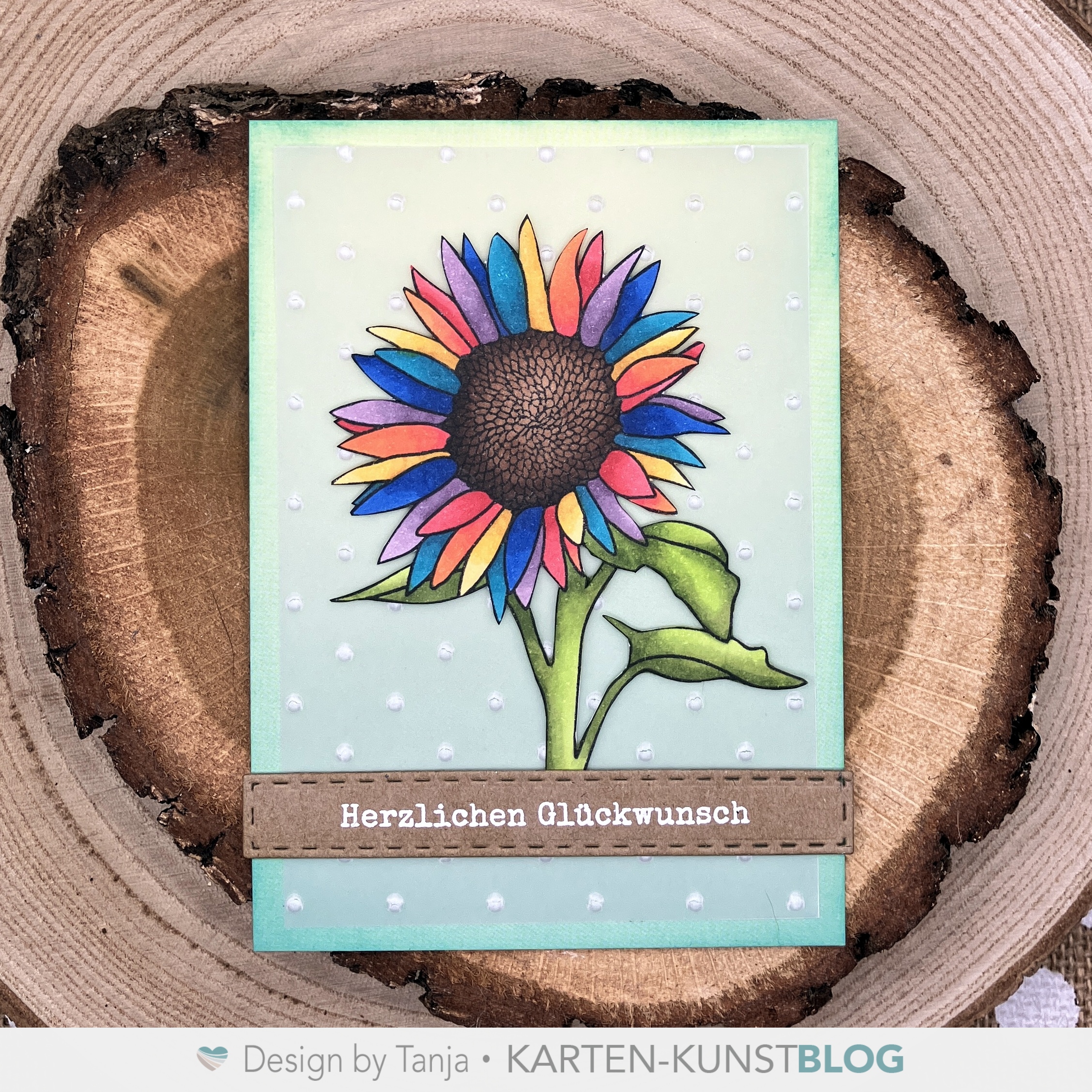 Regenbogen Sonnenblume
