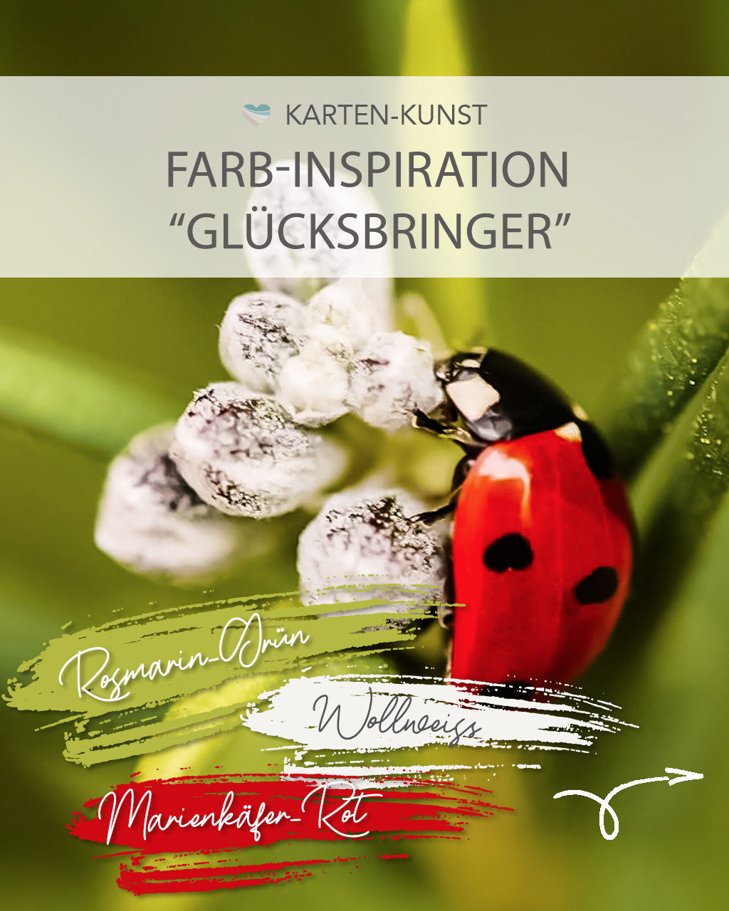 Farbinspiration "Glücksbringer" - direkt aus der Natur! 🌿🐞