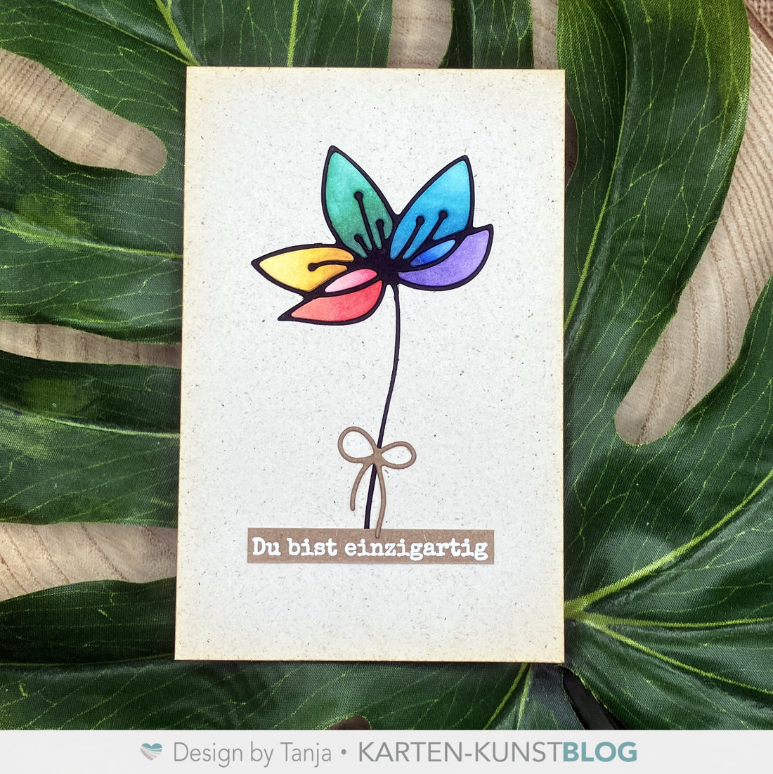 Einzigartige Regenbogenblume