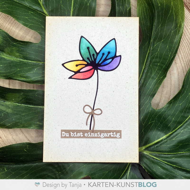 Einzigartige Regenbogenblume