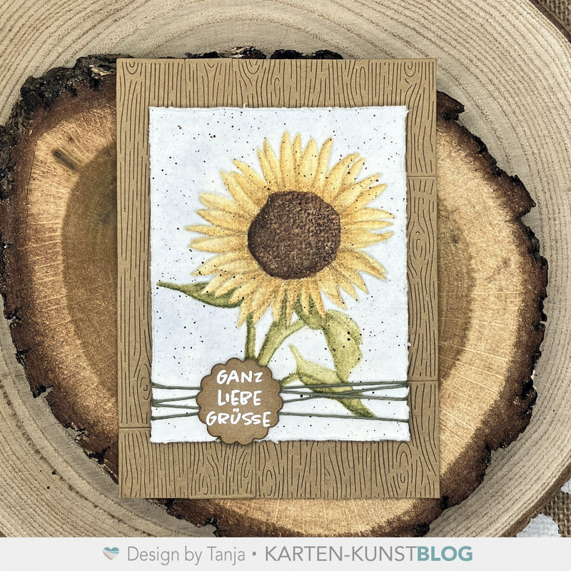 Klassische Sonnenblume