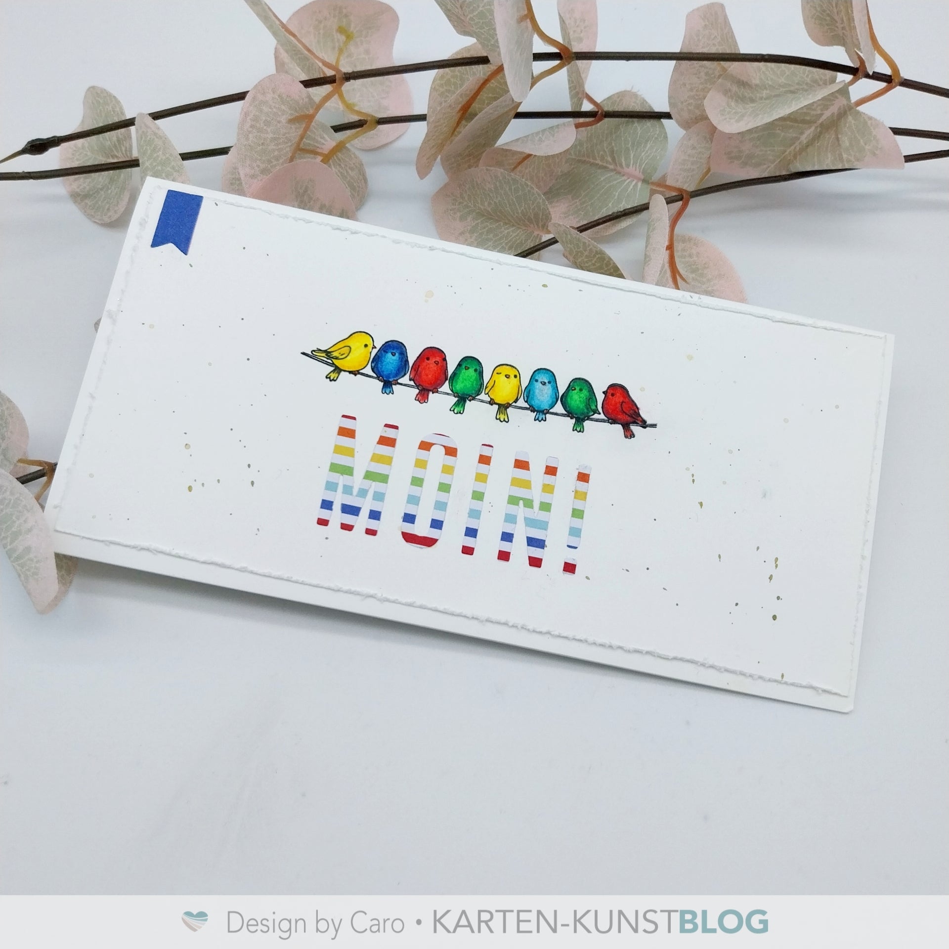 Buntes Moin!