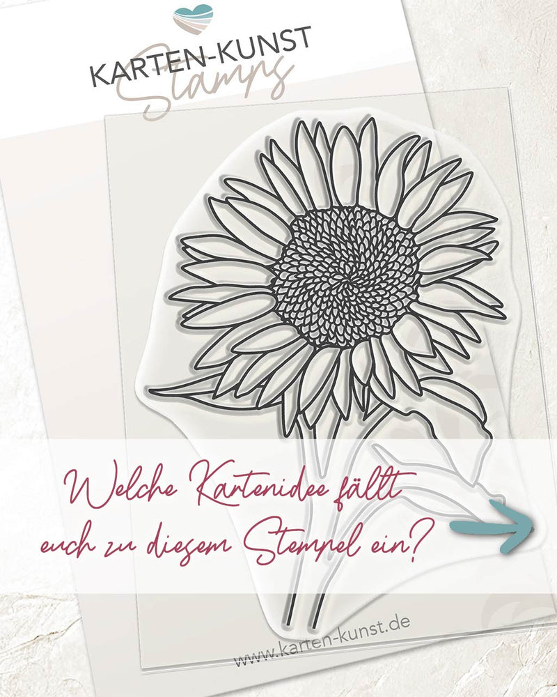 Die Gewinnerinnen des Sonnenblumen-Gewinnspiels!