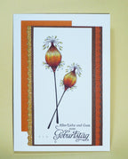 Karten-Kunst Clear Stamps KK-0065 - Weise Worte zum Geburtstag