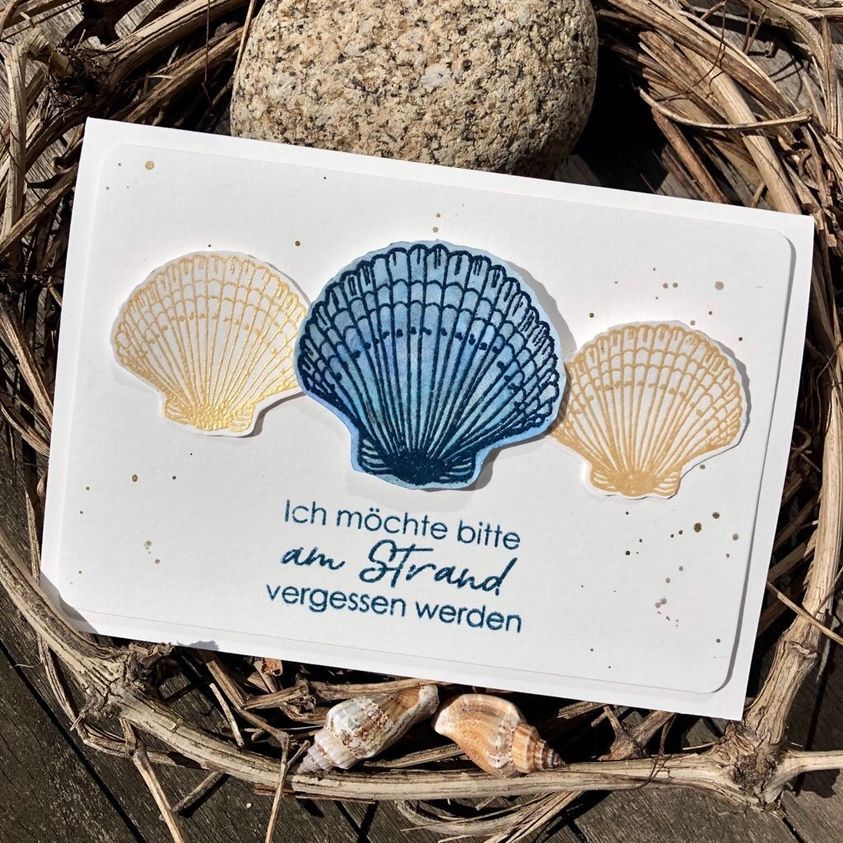 Karten-Kunst Clear Stamps KK-0217 - Muscheln Stempel maritim