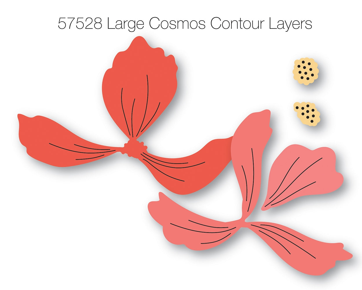 Birch Press Stanzschablone - 57528 Large Cosmos Contour Layers