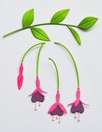 Birch Press Stanzschablone - 57661 Block Print Fuchsia Spray