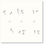 Memory Box Template Set - 88620 Gracious Floral Stencil Set