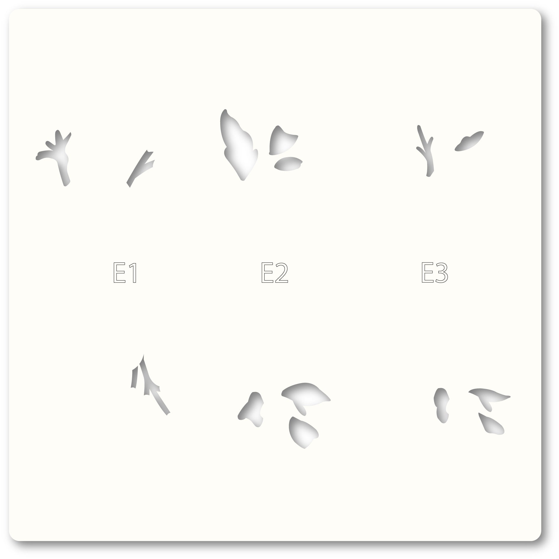 Memory Box Template Set - 88620 Gracious Floral Stencil Set