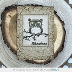 Karten-Kunst Clear Stamps KK-0292 - Uhuuups, so alt schon