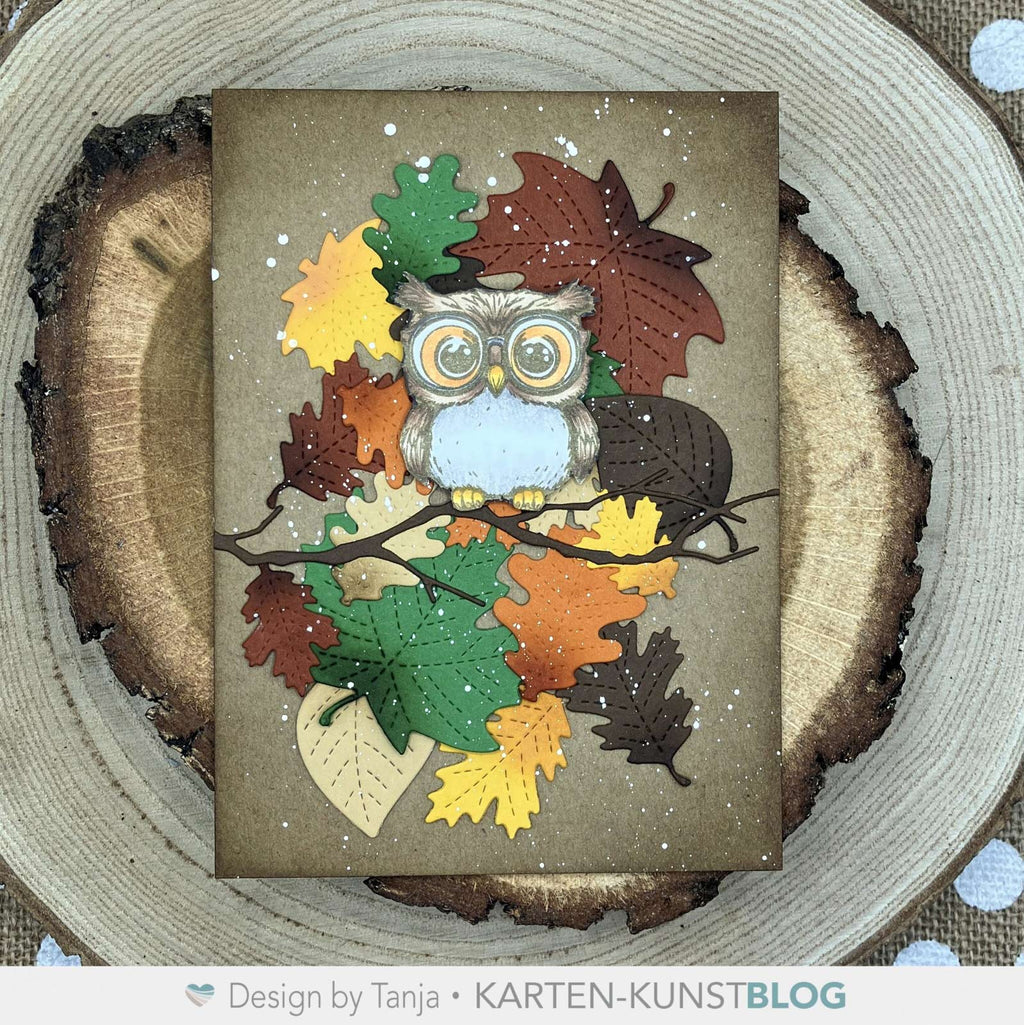 Karten-Kunst Clear Stamps KK-0292 - Uhuuups, so alt schon