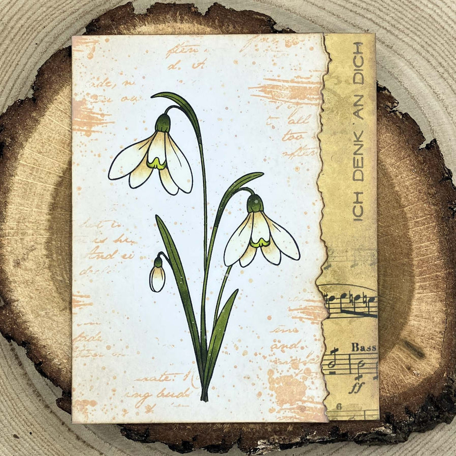 Karten-Kunst Clear Stamps KK-0295 - Schneeglöckchen