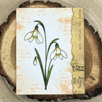 Karten-Kunst Clear Stamps KK-0296 - Textrahmen-Worte 2