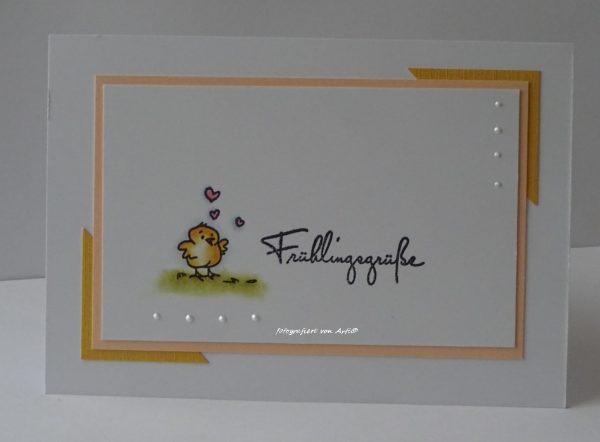 Karten-Kunst Clear Stamps zu Ostern KK-0061 - Viecher im Frühling