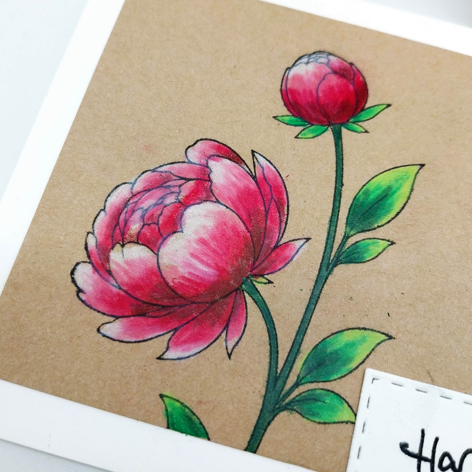 Karten-Kunst Clear Stamps KK-0301 - Elegante Pfingstrose
