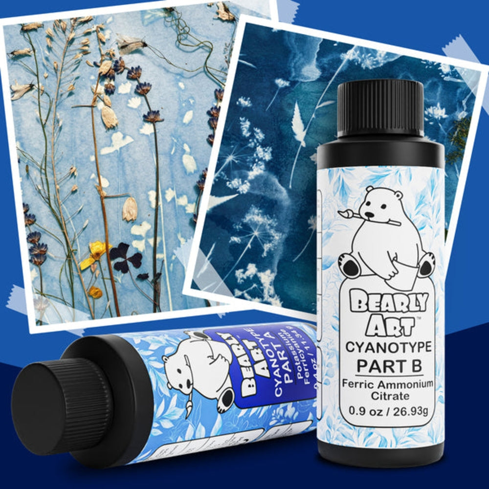 Bearly Art Cyanotype Kit