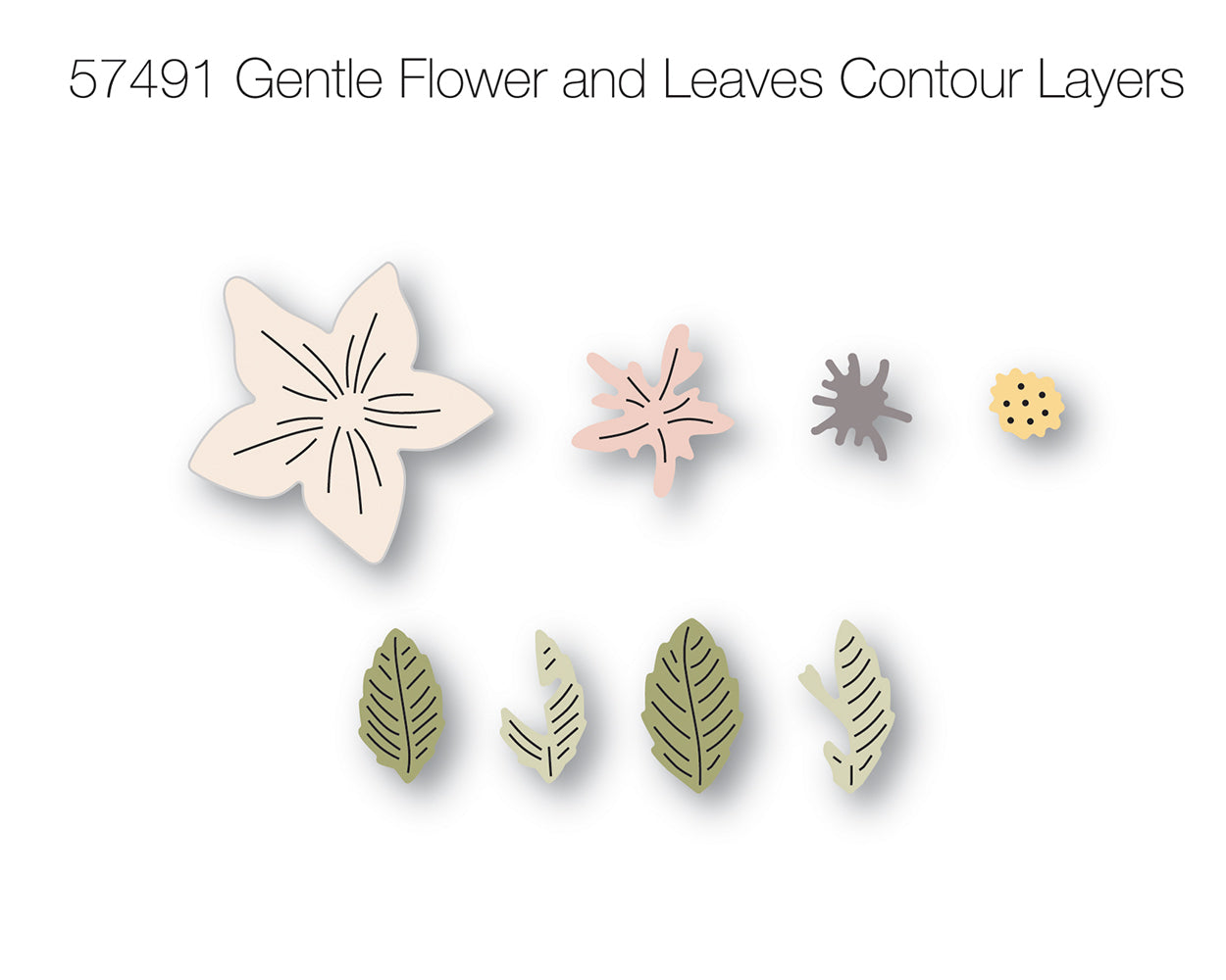 Birch Press Stanzschablone - 57491 Gentle Flower and Leaves Contour Layers