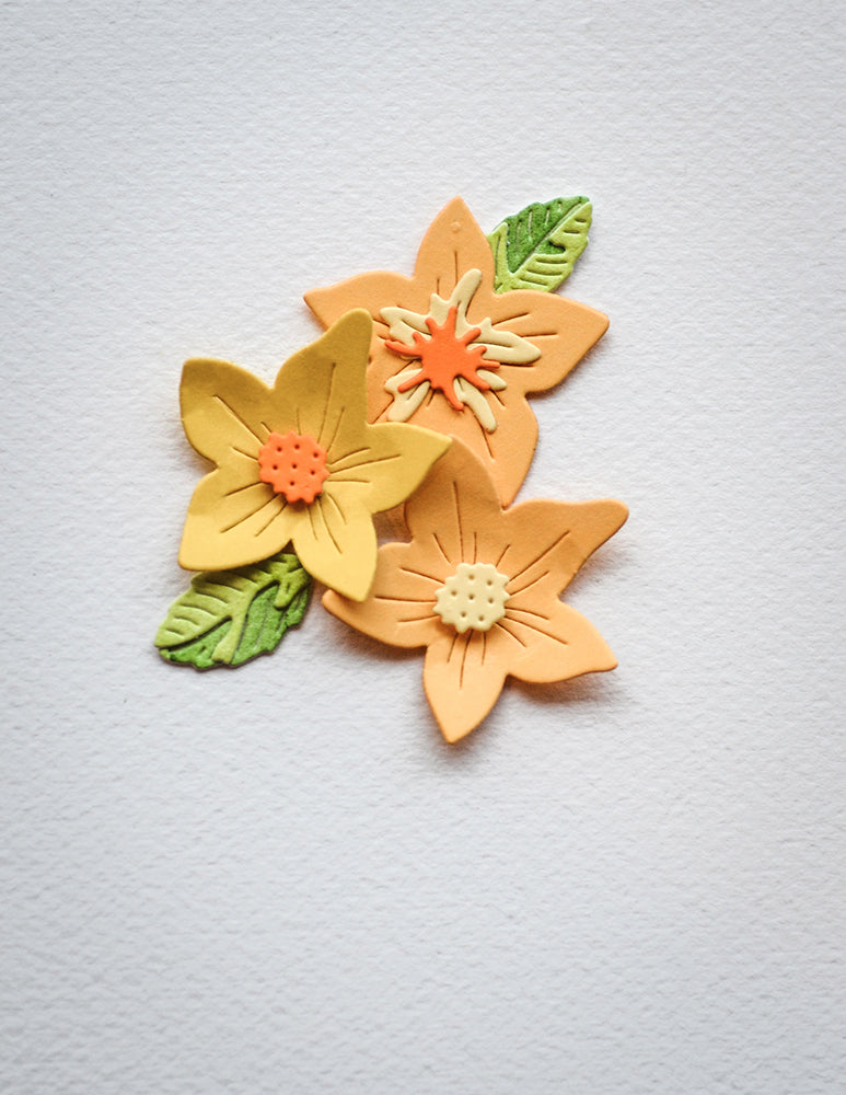 Birch Press Stanzschablone - 57491 Gentle Flower and Leaves Contour Layers