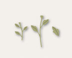 Birch Press Stanzschablone - Delicate Floral Buds Contour Layers