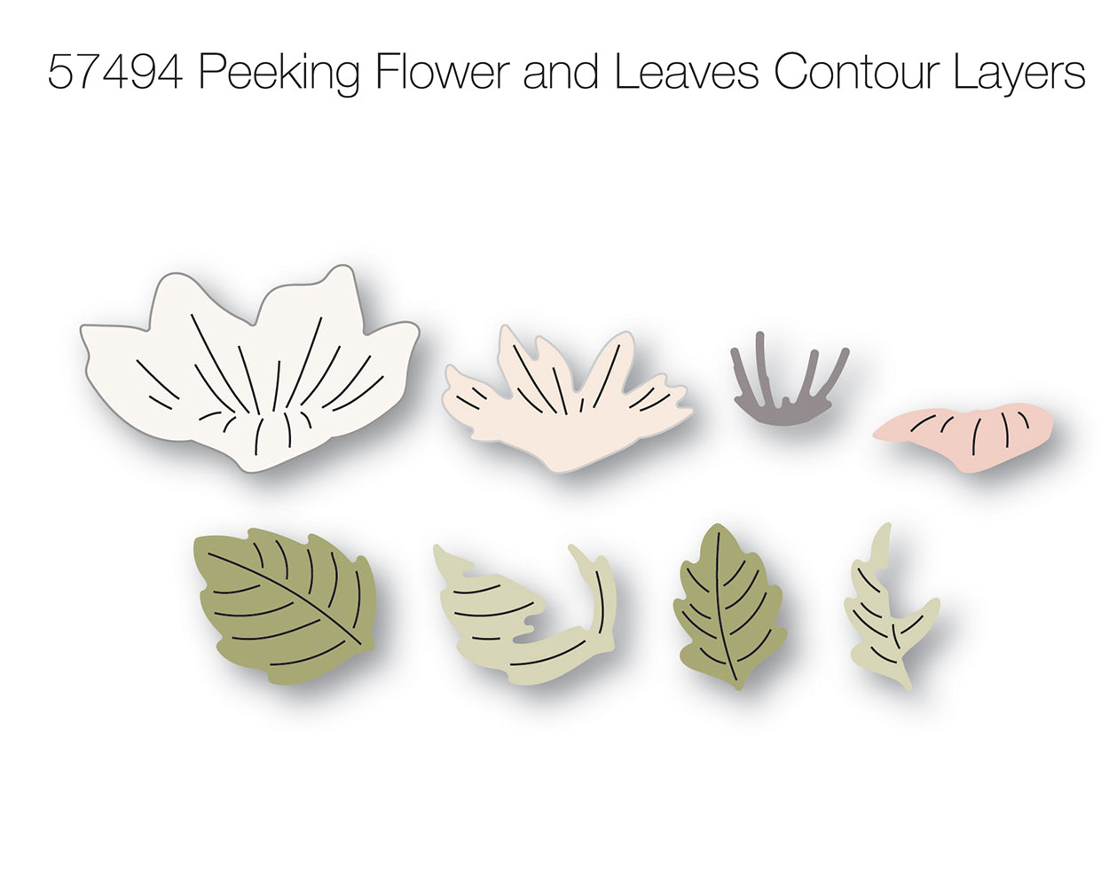 Birch Press Stanzschablone - 57494 Peeking Flower and Leaves Contour Layers