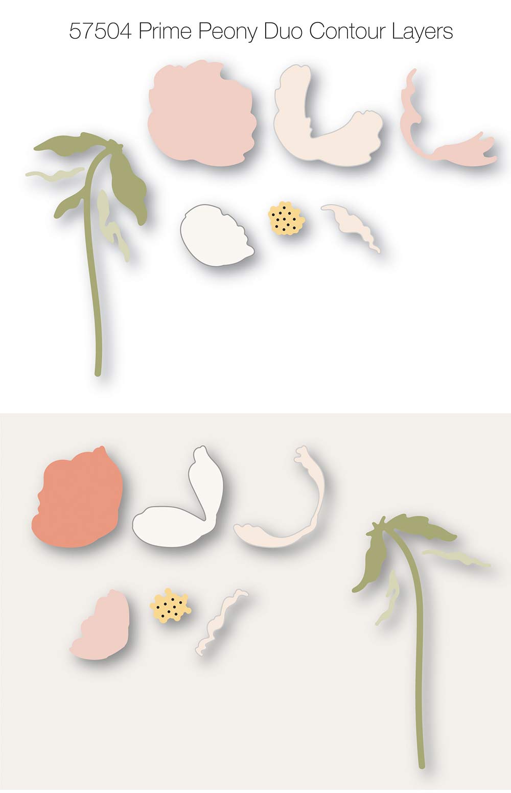 Birch Press Stanzschablone - Prime Peony Duo Contour Layers
