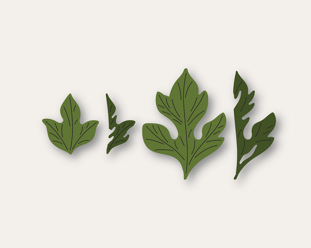 Birch Press Stanzschablone - 57514 Forest Leaf and Berries Contour Layers