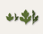 Birch Press Stanzschablone - 57514 Forest Leaf and Berries Contour Layers