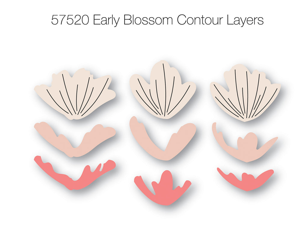Birch Press Stanzschablone - 57520 Early Blossom Contour Layers
