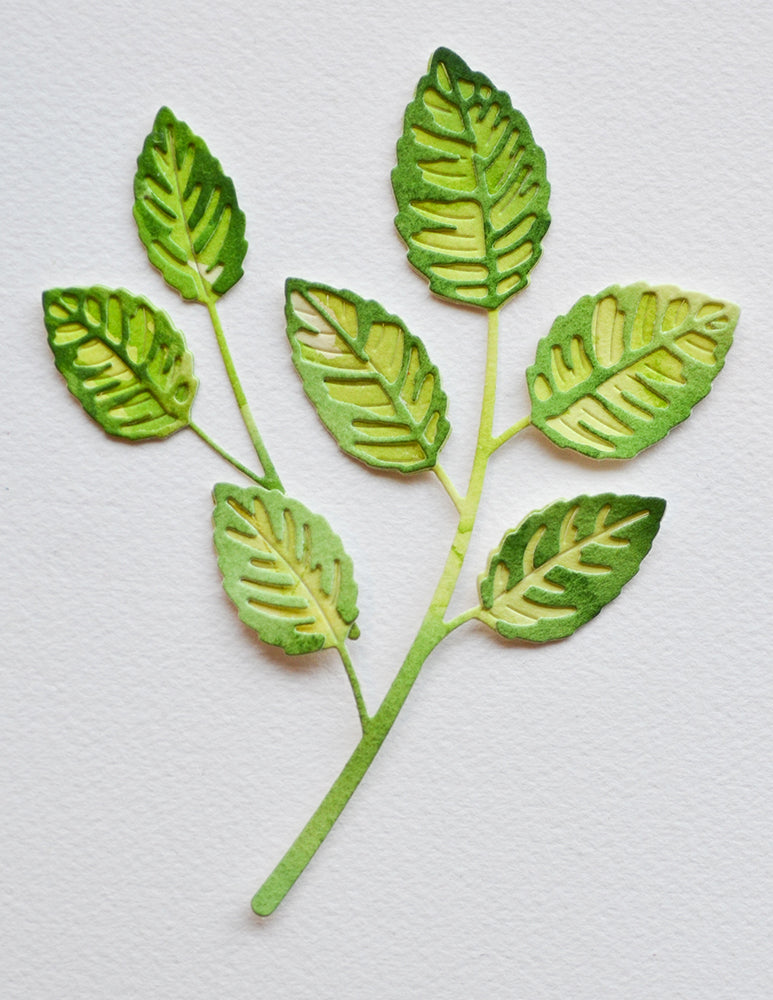 Birch Press Stanzschablone - 57522 Rose Leaves Contour Layers