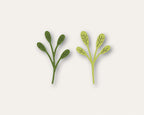 Birch Press Stanzschablone - 57525 Oval Leaf Branches Contour Layers