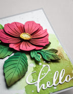 Birch Press Stanzschablone - 57546 Hello Scripted