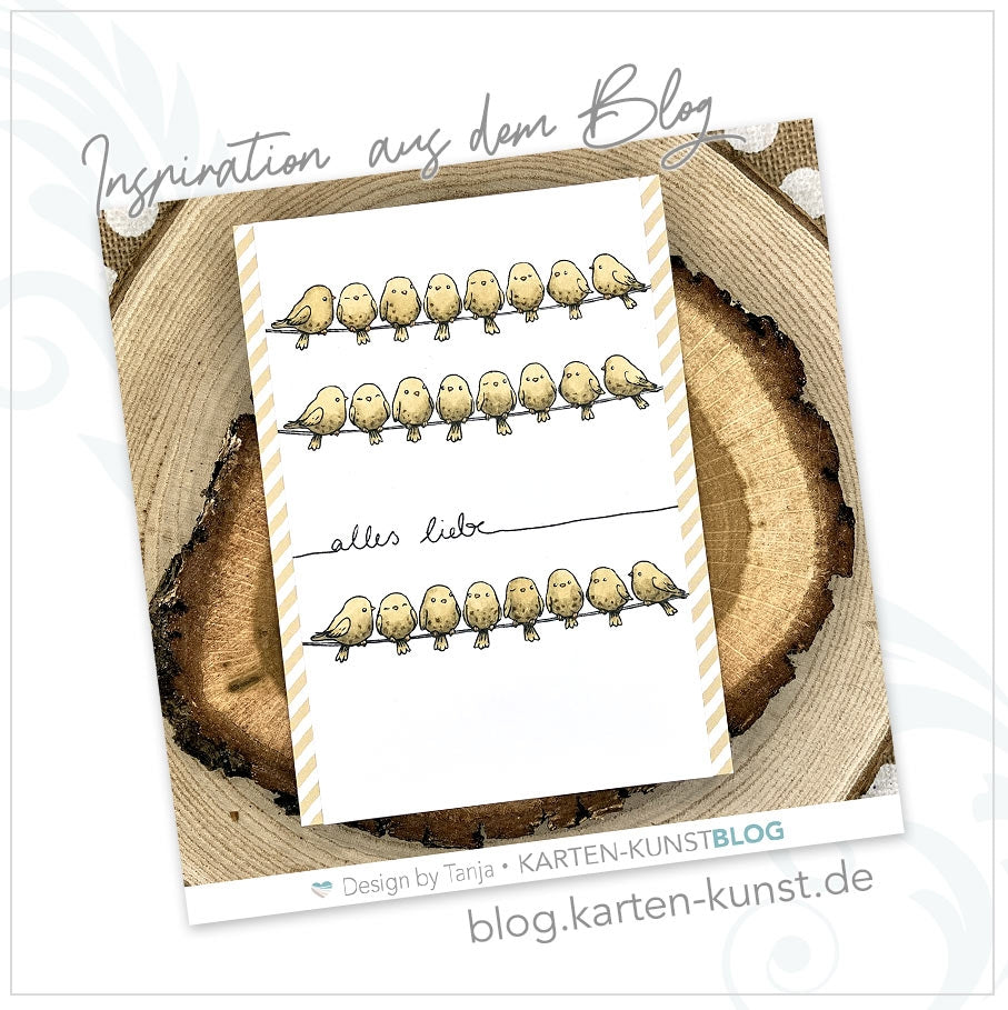 Dekorlinien & Rahmen – Stempelset Karten-Kunst Clear Stamps KK-0281 - Beispielkarte