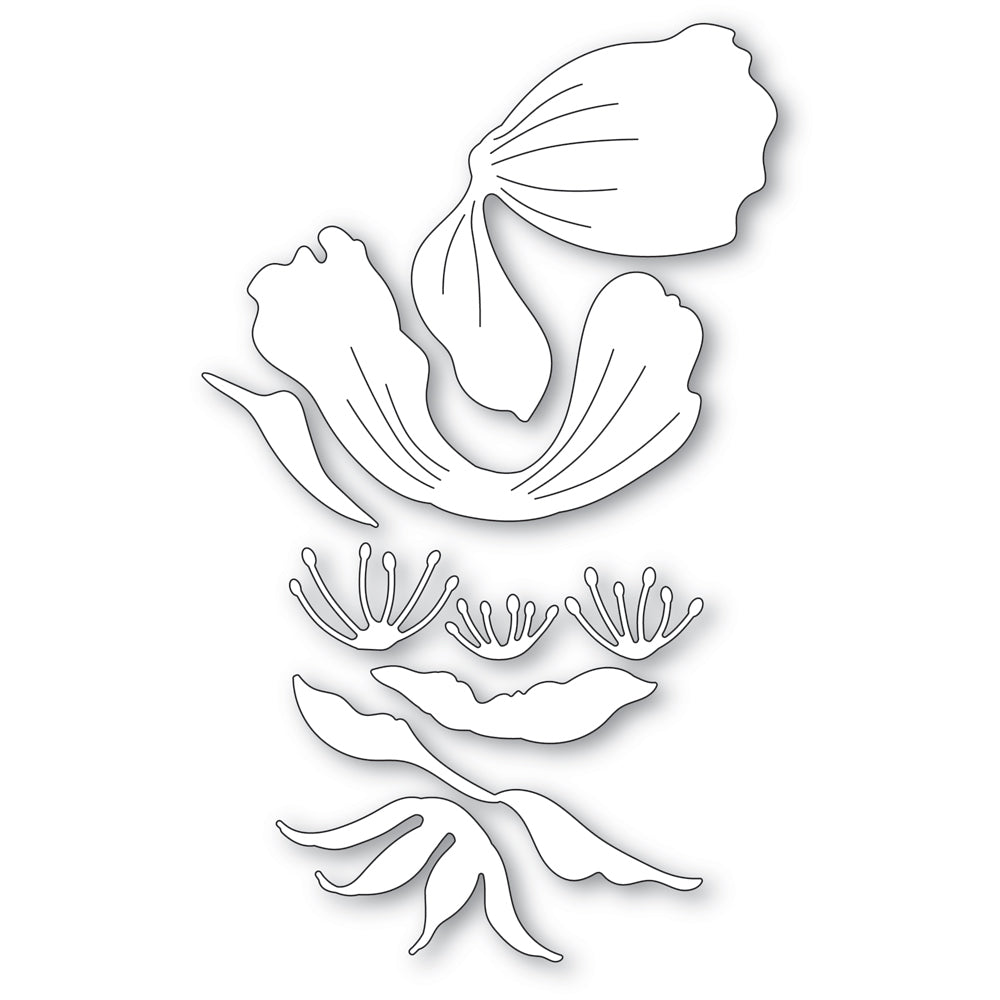 Memory Box Stanzschablone - 94766 Anemone Bloom