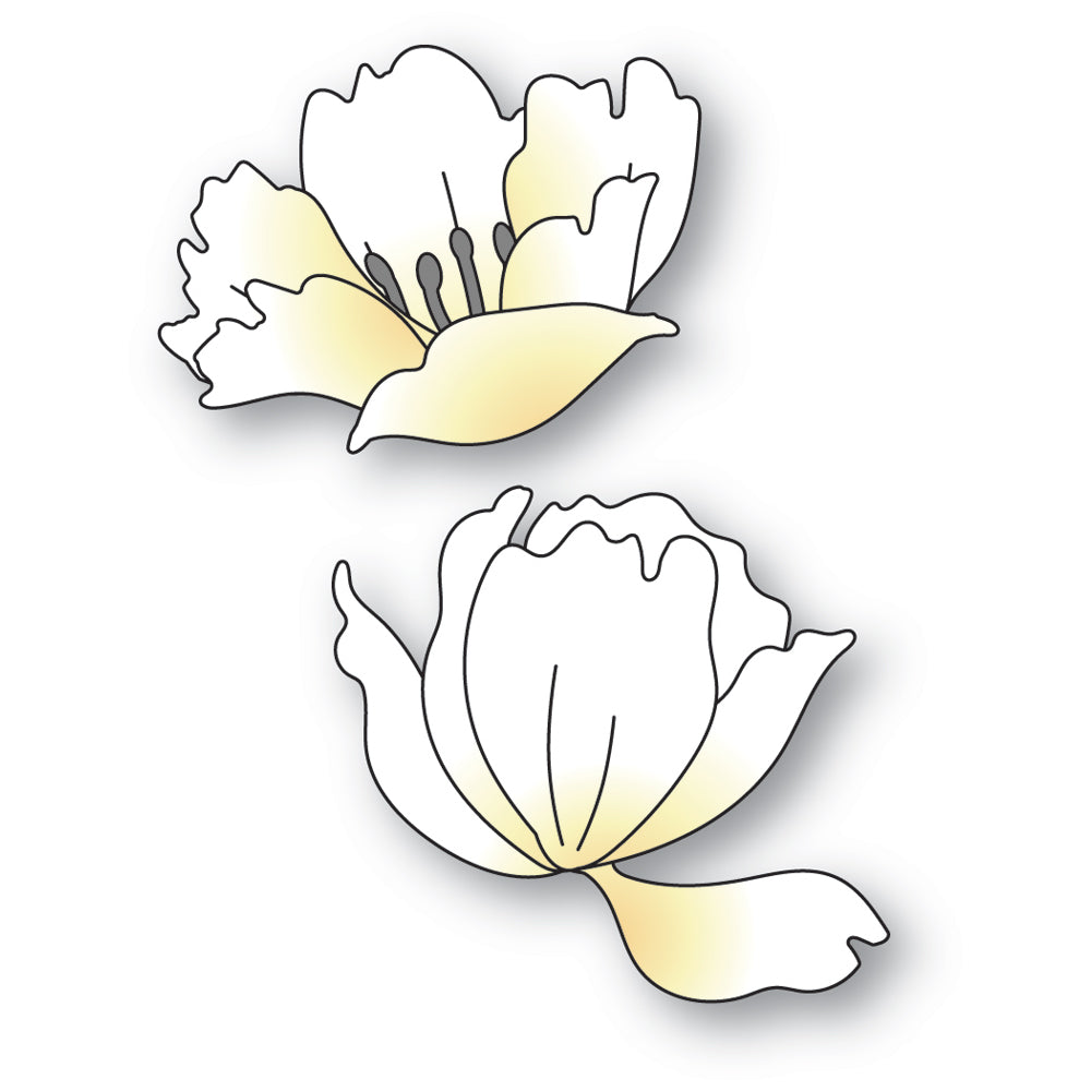 Memory Box Stanzschablone - 94768 Anemone Blooms