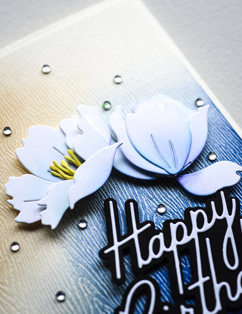 Memory Box Stanzschablone - 94768 Anemone Blooms