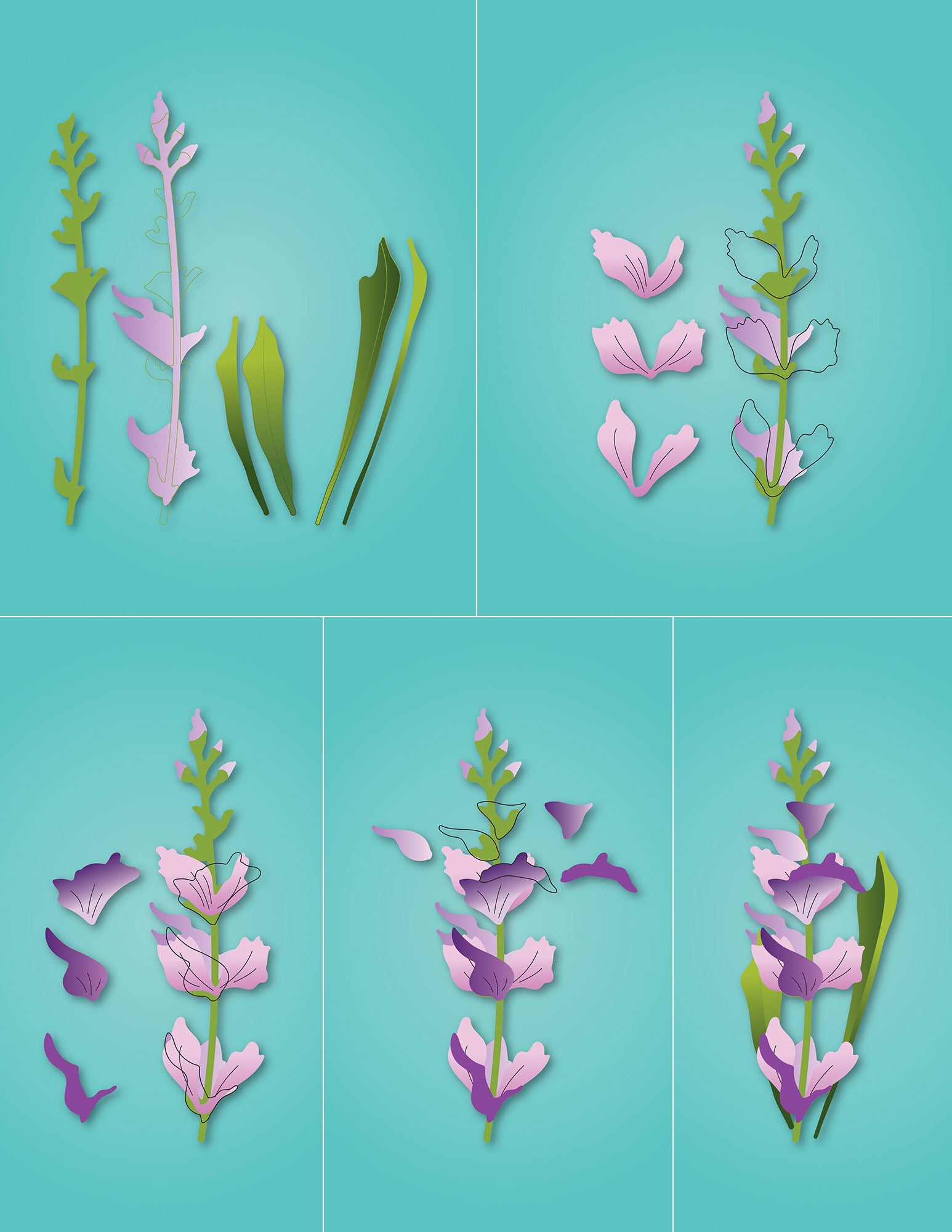 Memory Box Stanzschablone - 94790 Whimsical Gladiola