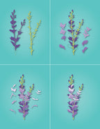 Memory Box Stanzschablone - 94791 Fanciful Gladiola Stem