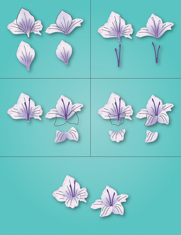 Memory Box Stanzschablone - 94793 Gladiola Floral Duo