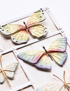 Memory Box Stanzschablone - 94831 Prairie Butterflies