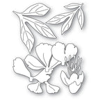 Memory Box Stanzschablone - 94872 Gentle Peony Bloom