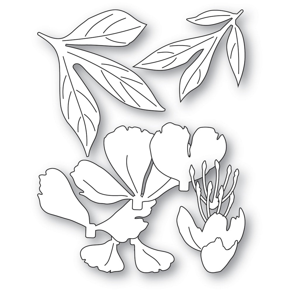 Memory Box Stanzschablone - 94872 Gentle Peony Bloom