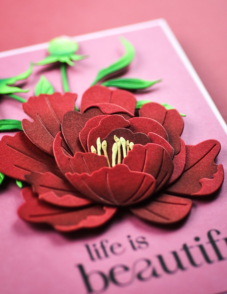 Memory Box Stanzschablone - 94873 Refined Peony Bloom