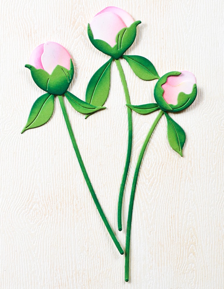 Memory Box Stanzschablone - 94876 Peony Bud Stems