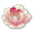 Memory Box Stanzschablone - 94877 Graceful Peony Blossom