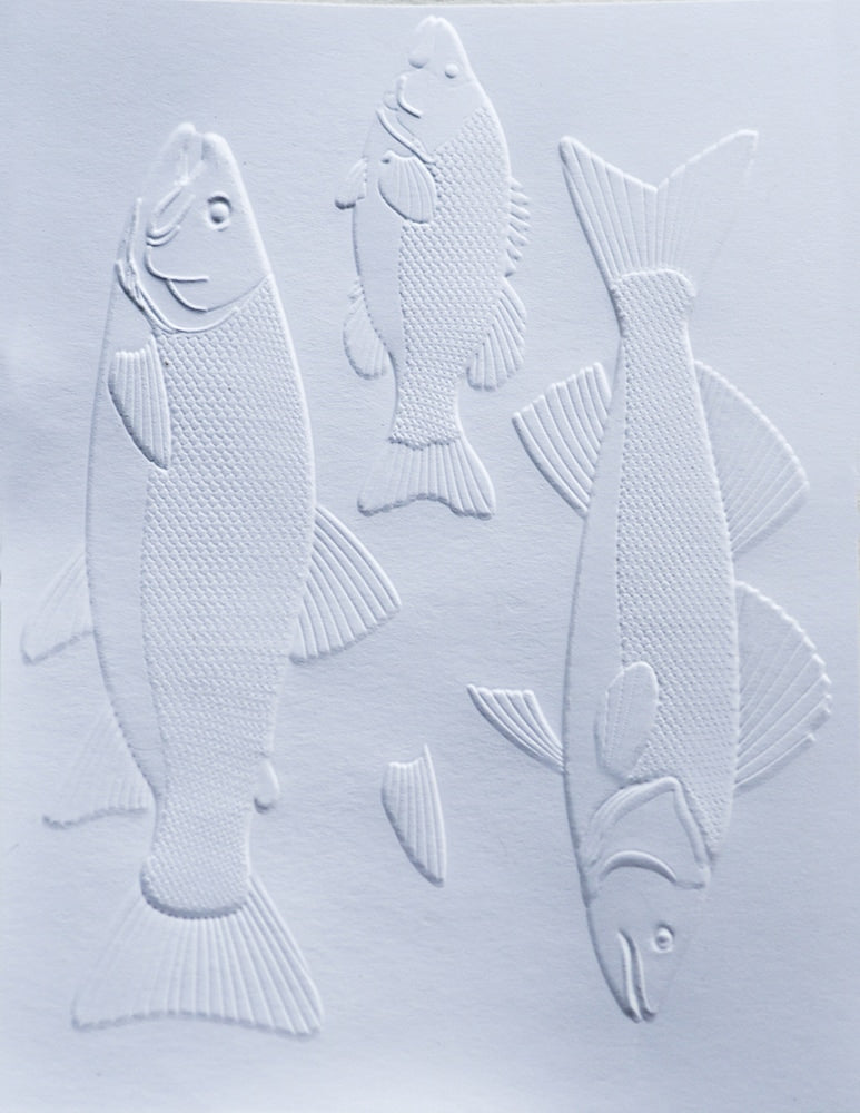 Memory Box 3D Prägeschablone - Freshwater Fish 3D Embossing Folder + 7 passende Stanzschablonen