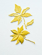 Memory Box 3D Prägeschablone - Perfect Poinsettias 3D Embossing Folder and Dies