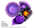 Octopus Fluids Alcohol Ink 30ml - Metallics Silver Mine