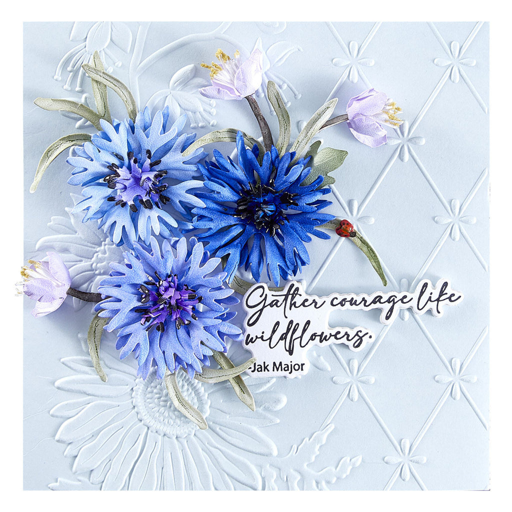 Spellbinders Wildly Beautiful 3D Embossing Folder GROSS