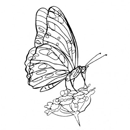 American Art Stamp - Butterfly #4